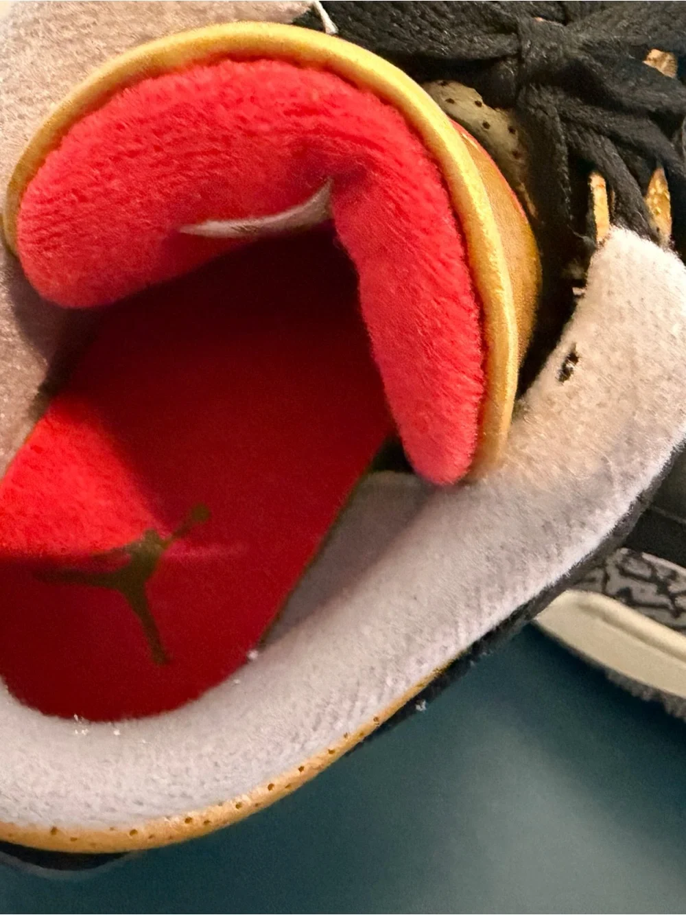 Jordan iconic silhouette